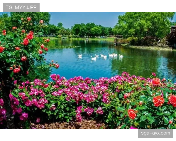 格罗宁根积极推动可持续发展与创新建设,引领城市新愿景 格罗宁根积极推动可持续发展与创新建设,引领城市新愿景