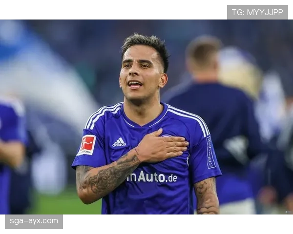 沙尔克新赛季展望：重燃德甲雄心，能否重返巅峰引关注